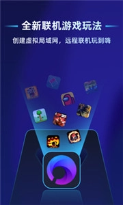 蒲公英联机平台软件