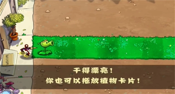 植物大战僵尸黑西游版图2