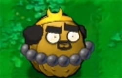 植物大战僵尸黑西游版图11