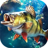 杰瑞米瓦德钓鱼模拟器