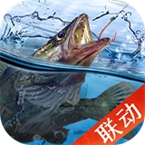 天天钓鱼手机版