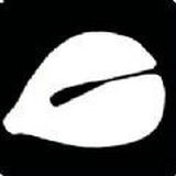 电子木鱼正版 v1.1.6.2