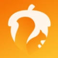 坚果隐藏pro版 v1.3.0