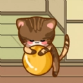 在线宠猫游戏安卓版