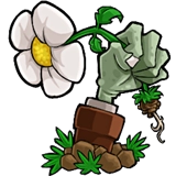 植物大战僵尸疯狂多元宇宙官方正版