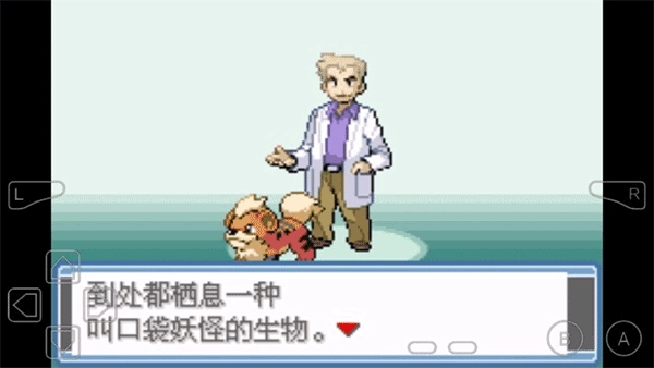 口袋妖怪永恒之焱手机版图1