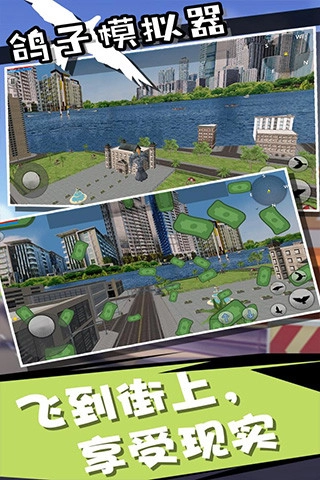 鸽子模拟器汉化版图3