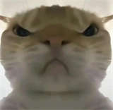 三角洲行动鼠鼠工具