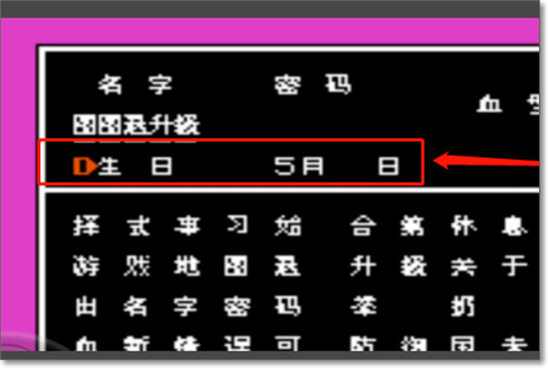 热血格斗传说汉化版搭档生日设置界面