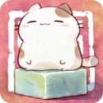 奇趣博物馆正版