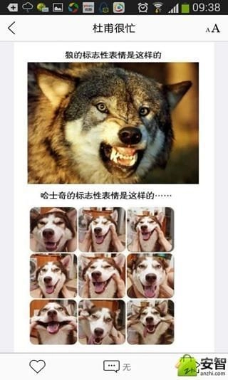 杜甫很忙官方正版图2