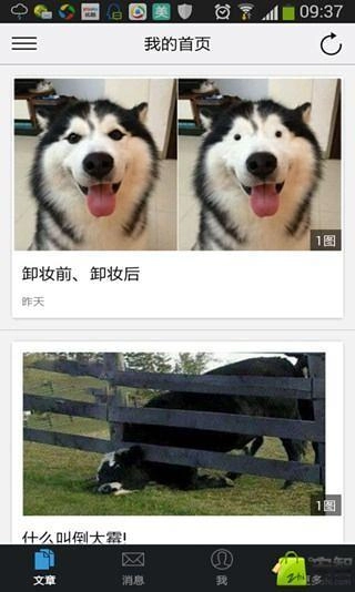 杜甫很忙官方正版图4