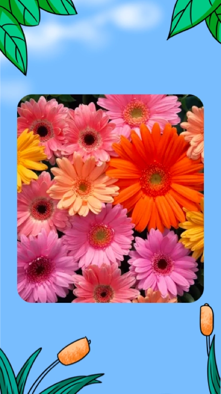 江南花园美如春图3