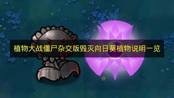 《植物大战僵尸杂交版》毁灭向日葵植物详情介绍
