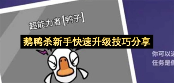 新手玩转鹅鸭杀：快速升级技巧全揭秘