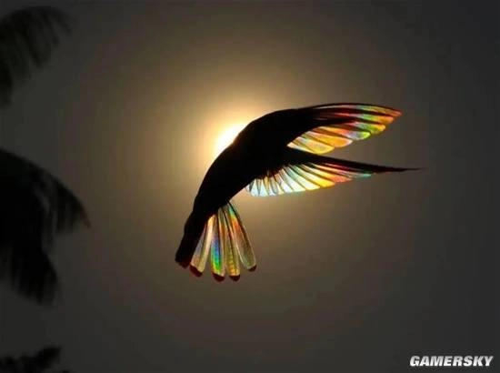 无人机除雪业务热度飙升操控员：时薪三百元仍供不应求