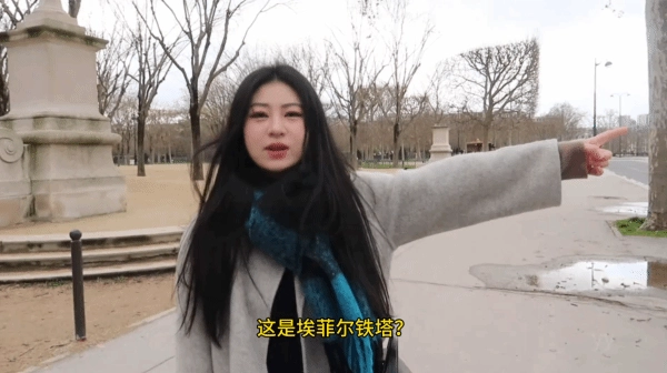 女游客目睹未亮灯的法国埃菲尔铁塔后陷入沉默，直言：这不就和我们村里的电线塔一个样嘛