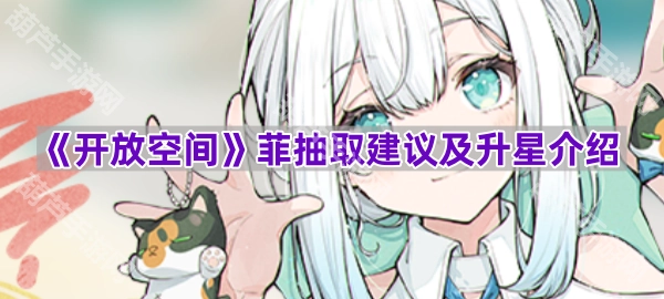 《开放空间》菲的抽取建议与升星详情
