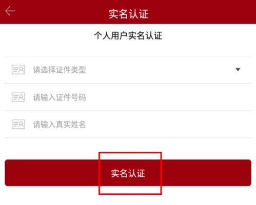 文旅政务实名认证页面证件信息填写步骤示意图