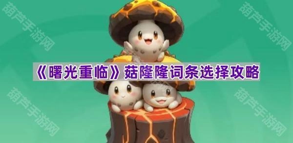 《曙光重临》菇隆隆词条挑选指南