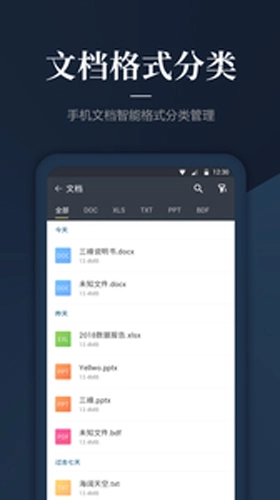 DS文件管理器最新免费版图1