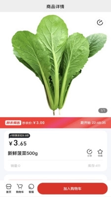 随团安卓免费版图3