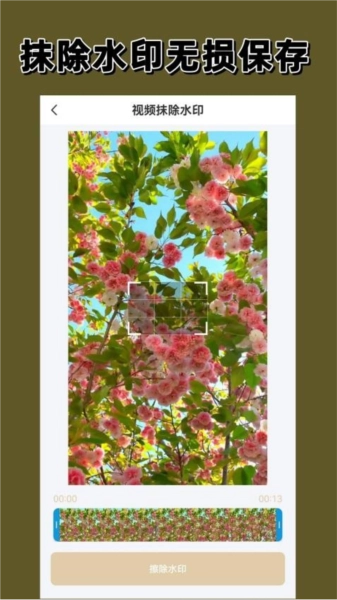 一键水印正版图1