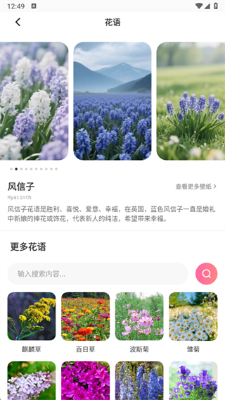 嘉迪软件花语箴言搜索界面