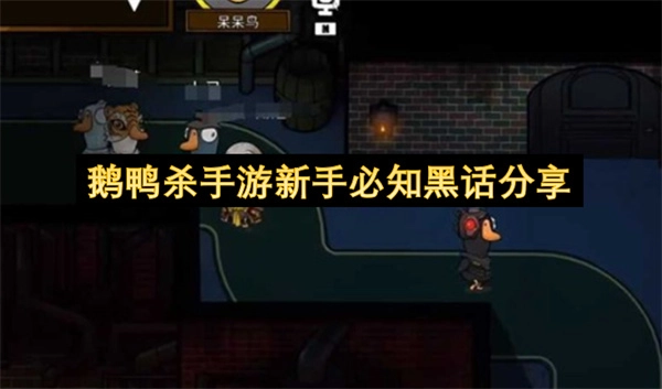 鹅鸭杀手游萌新必懂黑话指南