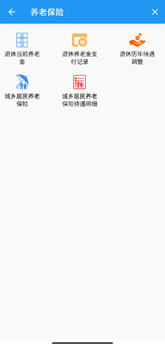 市民e家养老保险明细查询页面示意图