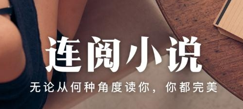 连阅免费阅读小说阅读器资源展示图