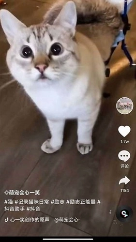 全民刷刷安卓直装版图1