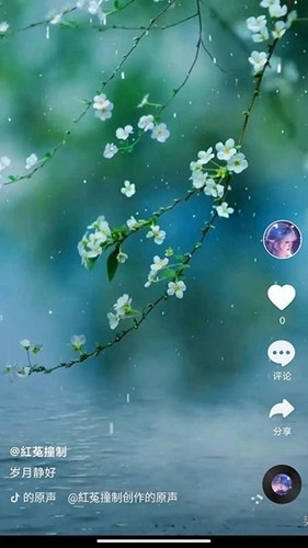 全民刷刷安卓直装版图4