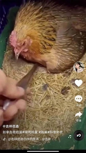 全民刷刷安卓直装版图3