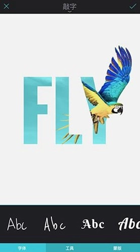 enlight photoloop(2)