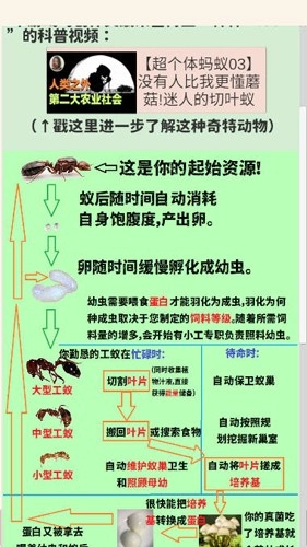 切叶蚁模拟器原版