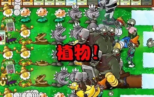 植物大战僵尸杂交版截图1