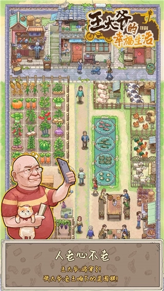 王大爷的幸福生活游戏纯净最新版