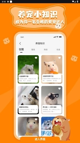 仓鼠翻译器最新版图4