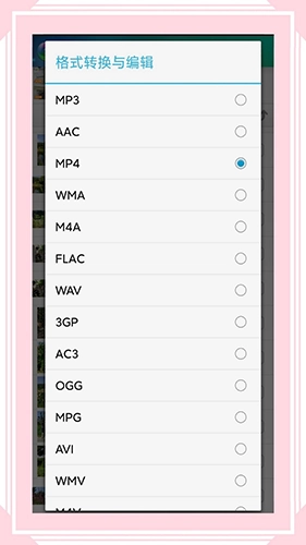 风云格式工厂版(4)