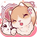 云撸猫咪最新免费版