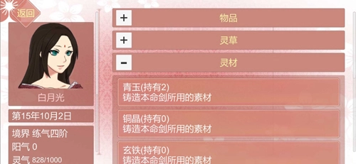 某某宗女修修炼手札游戏正版