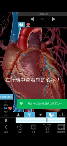 生理和病理学图5