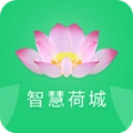 智慧荷城手机免费版