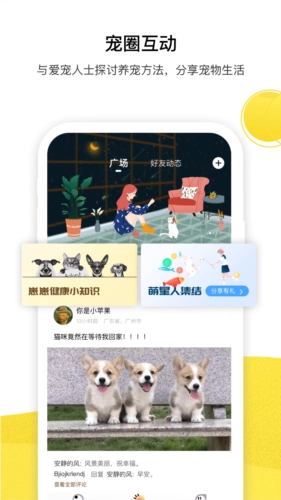 宠陪陪手机最新版图4