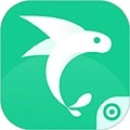 飞鱼专注本最新免费版 v1.0.17