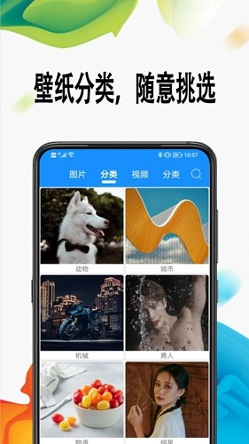 绵越壁纸最新免费版图2