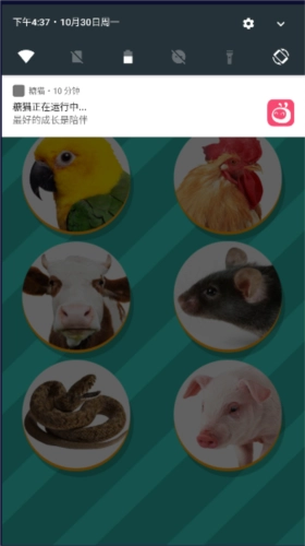 雞語翻譯器安卓直裝版圖3