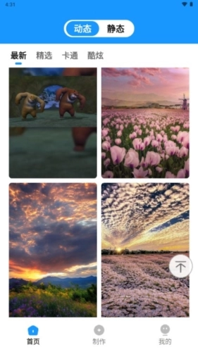 企鹅壁纸安卓官方版图2