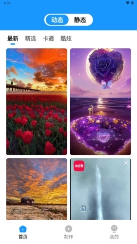 企鹅壁纸安卓官方版图4